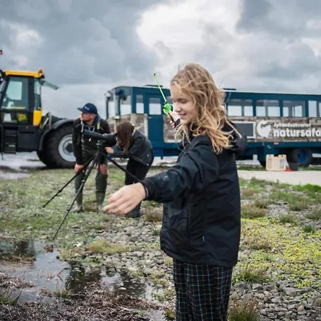 4 Star In Holiday home