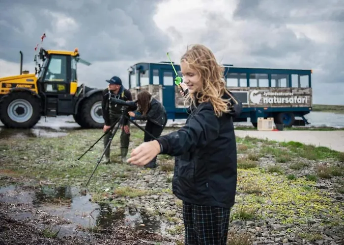 4 Star In Dom wakacyjny